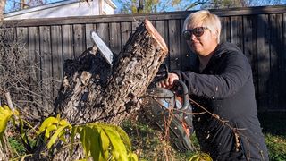 Husqvarna Power Axe 350i Cordless Electric Chainsaw being tested by writer