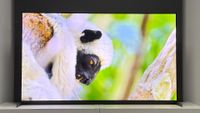 The 55-inch Sony Bravia 8 II QD-OLED TV photographed on a white table. On the screen is a nature documentary.