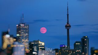 a pink full moon rising against the Toronto skyline