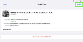 iPadOS 15 beta developer step 11 — tap install