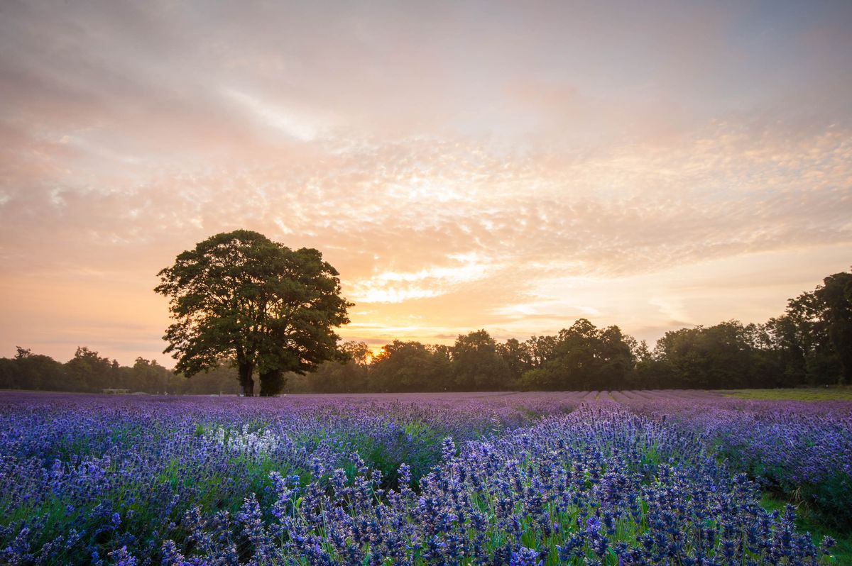Without a graduated neutral density filter the sky is too washed out...
