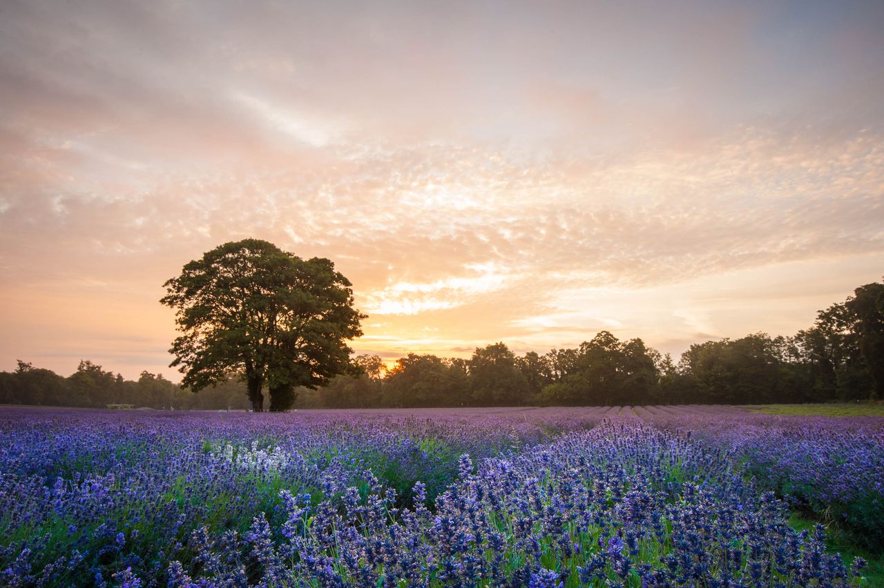 Without a graduated neutral density filter the sky is too washed out...