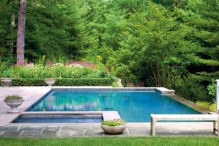 pool landscape ideas with the plants reflected in the pool