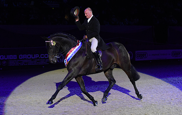 DIAMONDS ARE FOREVER III owned by A Jenks ridden or exhibited by Allister Hood in the Riding Horse of The Year Championship during The Horse of the Year Show at the NEC near Birmingham, UK between 4th - 8th October 2017