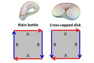 The fundamental polygons of the Klein bottle and cross-capped disk. The cross-capped disk has been opened along an edge to expose the interior.