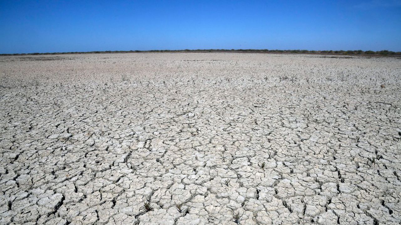 The effects of drought at Donana National Park in Aznalcazar, southern Spain