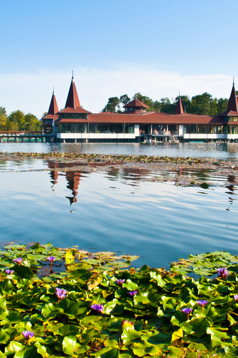 Hévíz Lake, Hungary