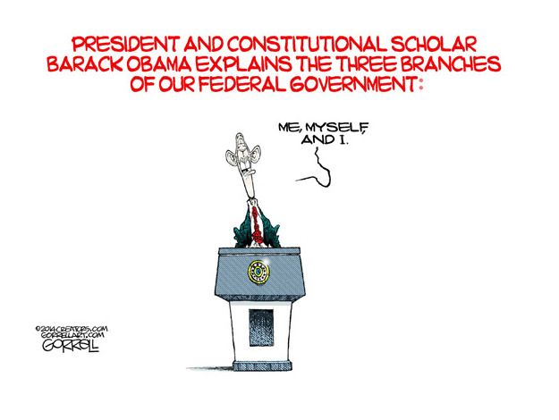 Obama cartoon executive order