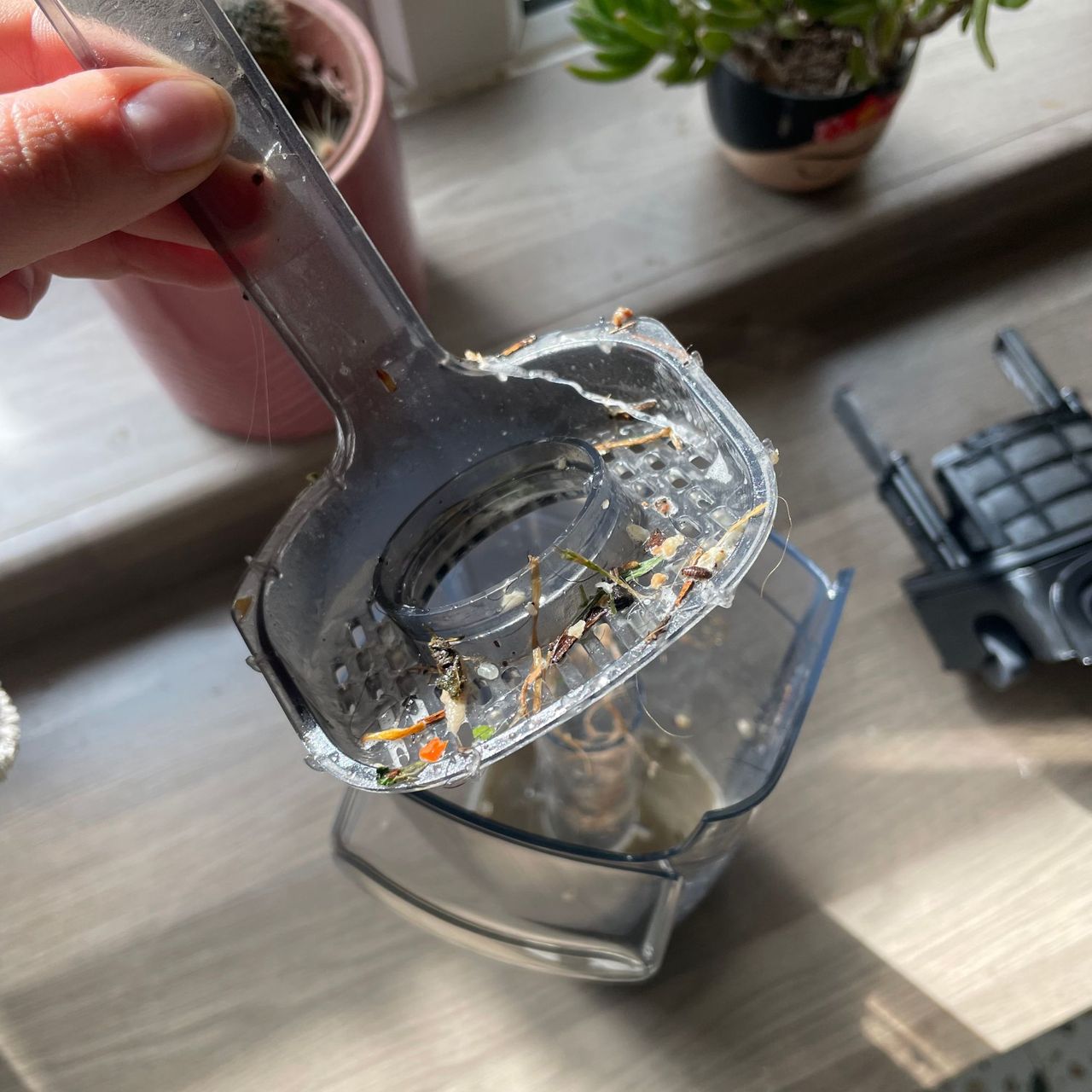Strainer of the Bissell Crosswave Omniforce Edge filled with debris