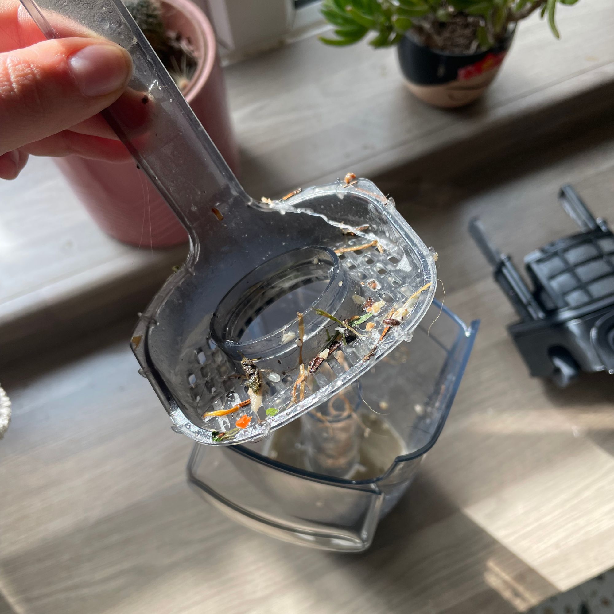 Strainer of the Bissell Crosswave Omniforce Edge filled with debris