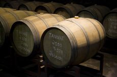 Tannat_Alamy_FK8CJ3.jpg