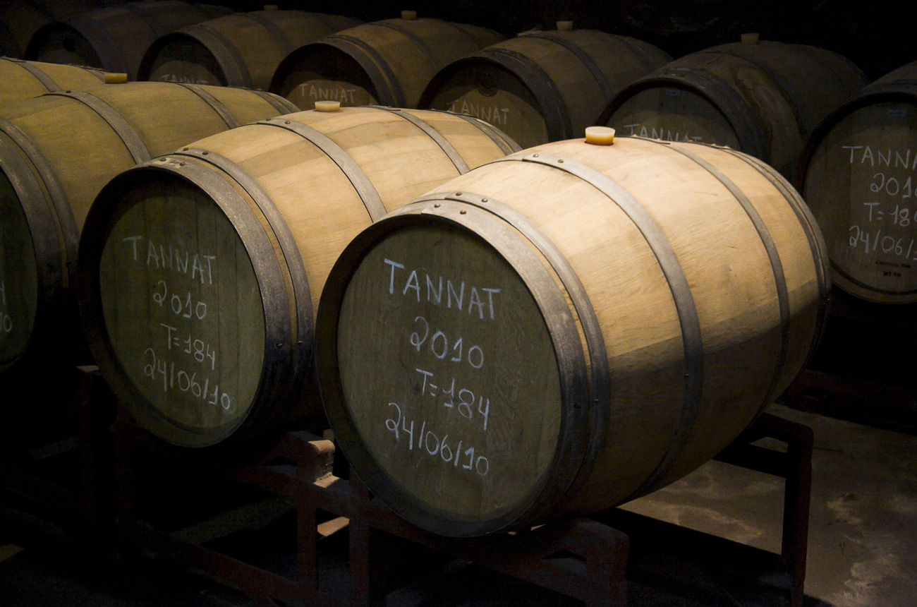 Tannat_Alamy_FK8CJ3.jpg