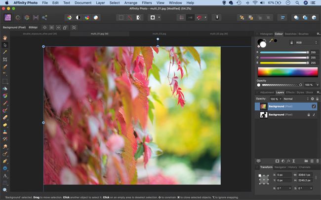 How to create a double exposure effect in Affinity Photo: layer ...