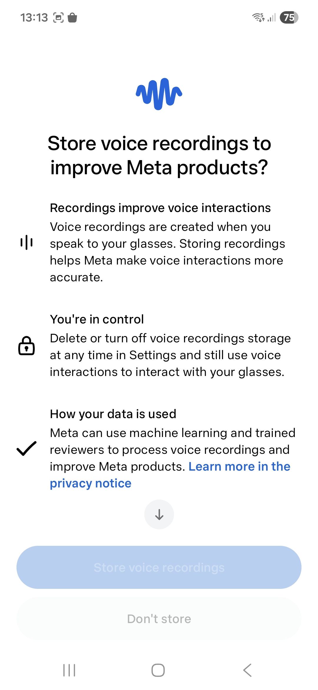 Oakley Meta HSTN Meta AI app screenshot