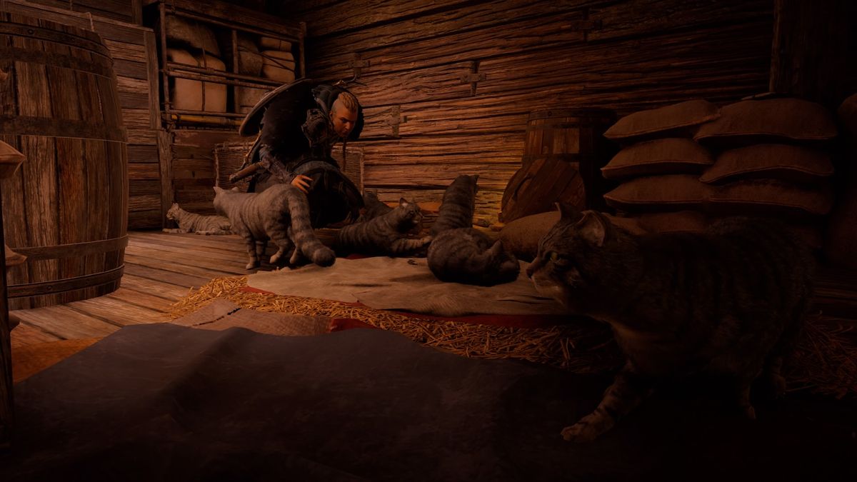 Assassin's Creed Valhalla