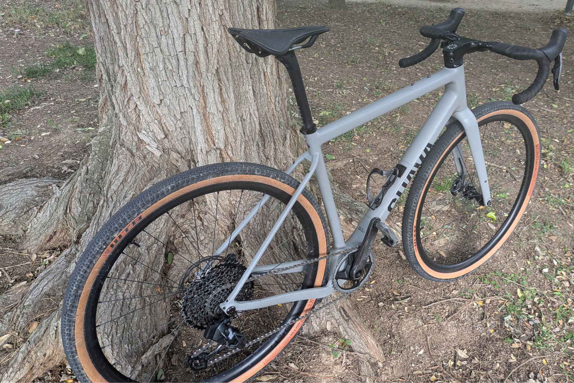 Guava Spot Force AXS