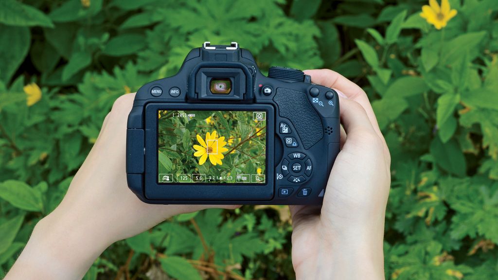 How to shoot closeups Macro lenses how to choose one, and how to