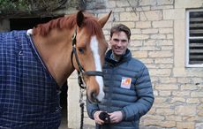 Harry-Meade.jpg