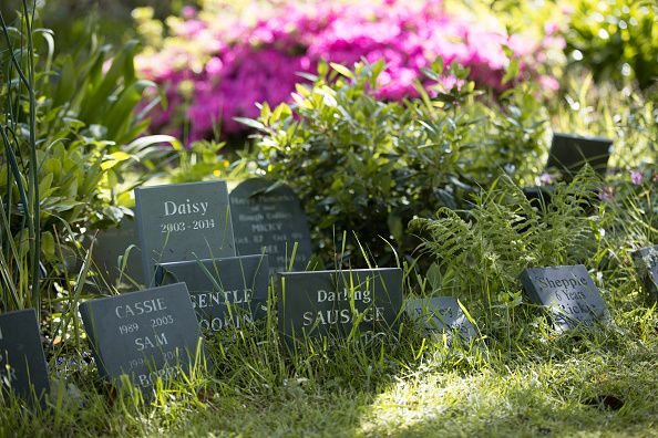 Former pet owners have been instructed to dig up the remains of their animals as one of Delaware&amp;#039;s largest pet cemeteries prepares to be sold. 