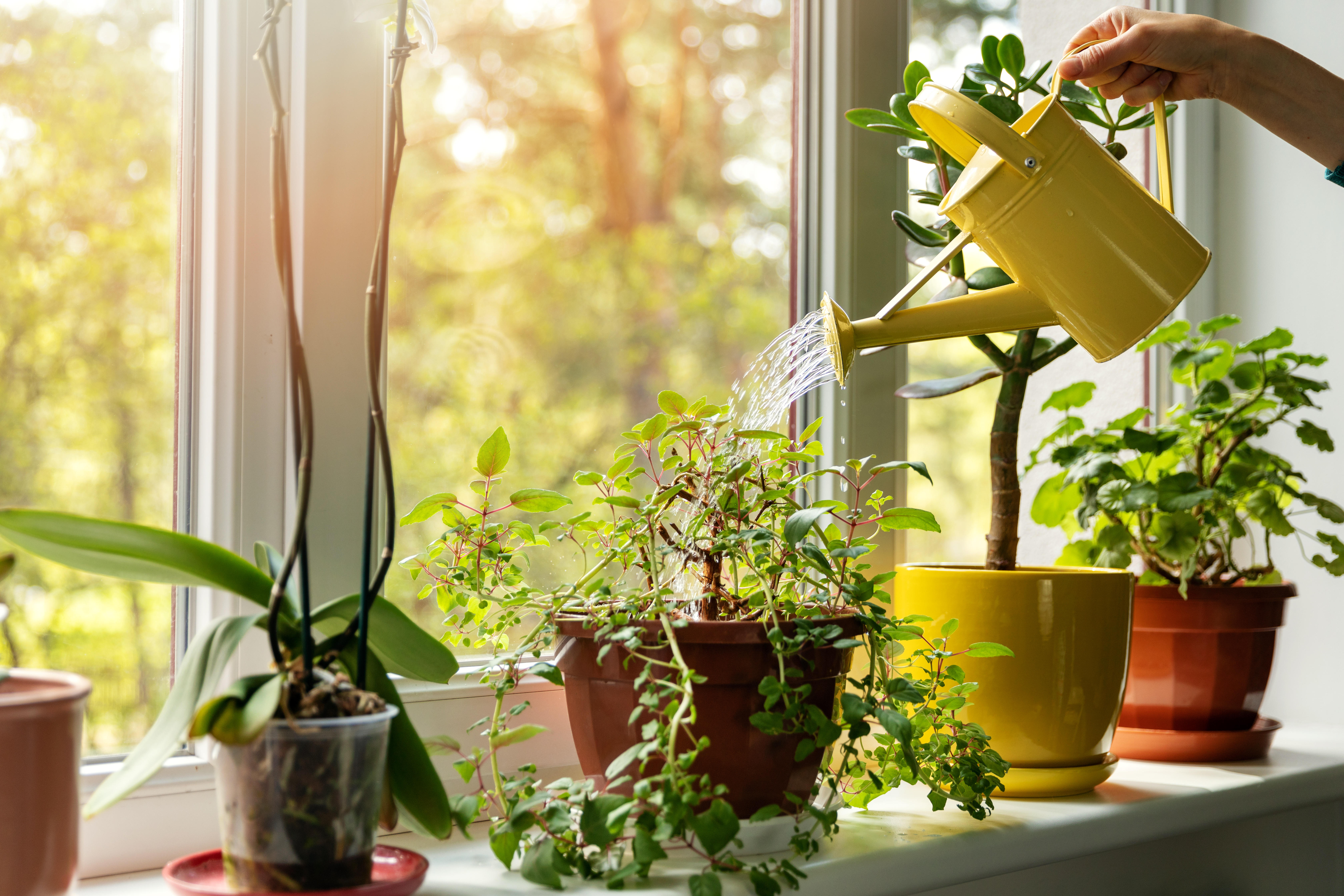 7 ways to give your home a de-tox