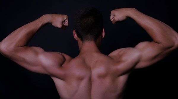 How Do Anabolic Steroids Promote Muscle Growth