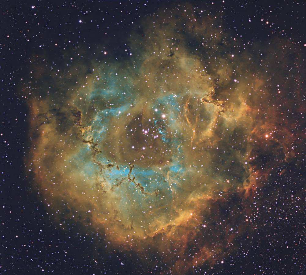 Rosette Nebula by Steve Coates