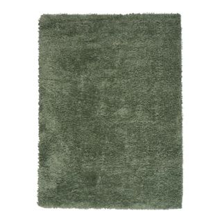 A rectangular sage green area rug