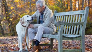 Senior man sitting on park bench stroking Labrador