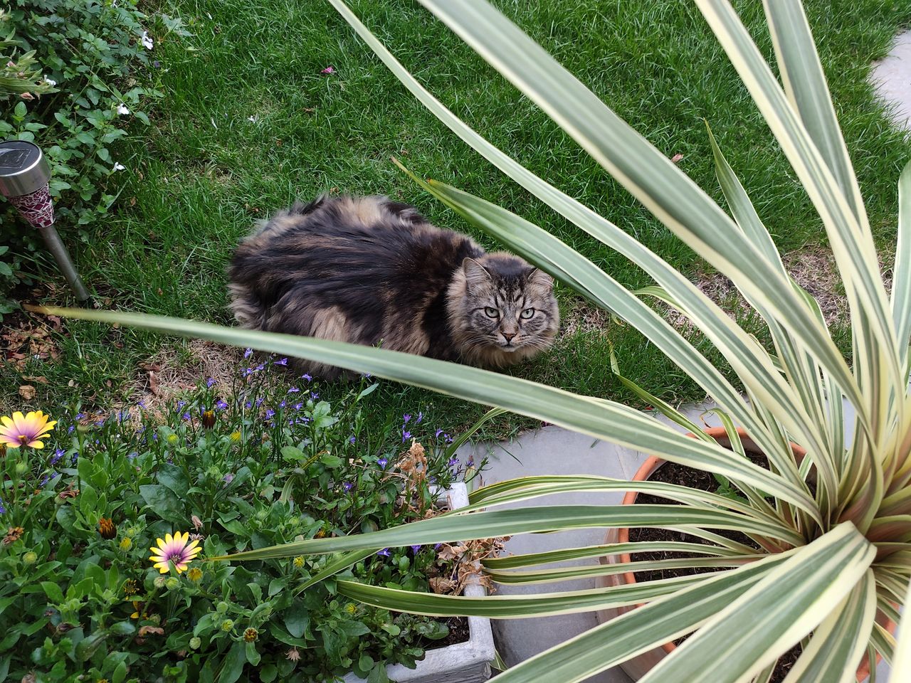 Photos taken on the Nubia Red Magic 7s Pro
