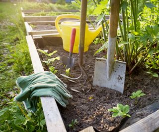 raised bed and gardening tools