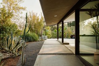 Natural planting comes right up to the edge of the structure