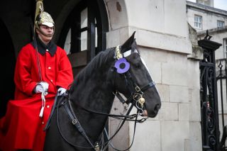 Queen's guard riding a horse wearing a purple poppy