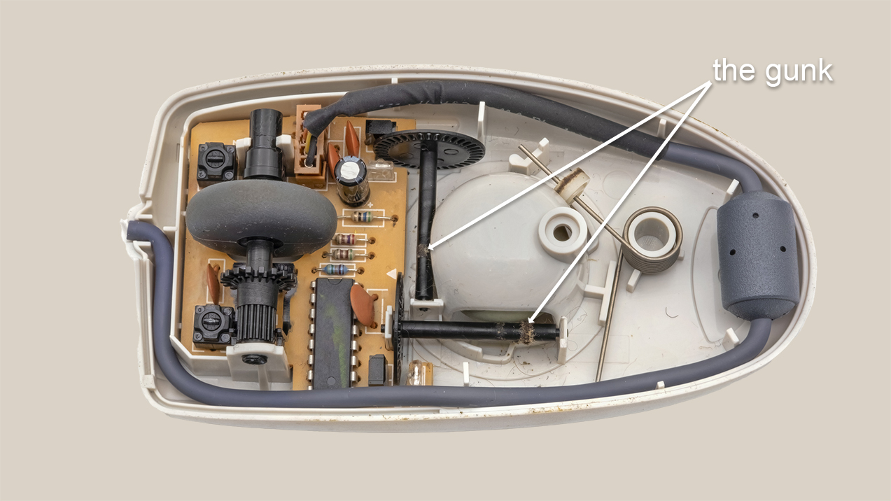 A cross-section of a computer mouse.