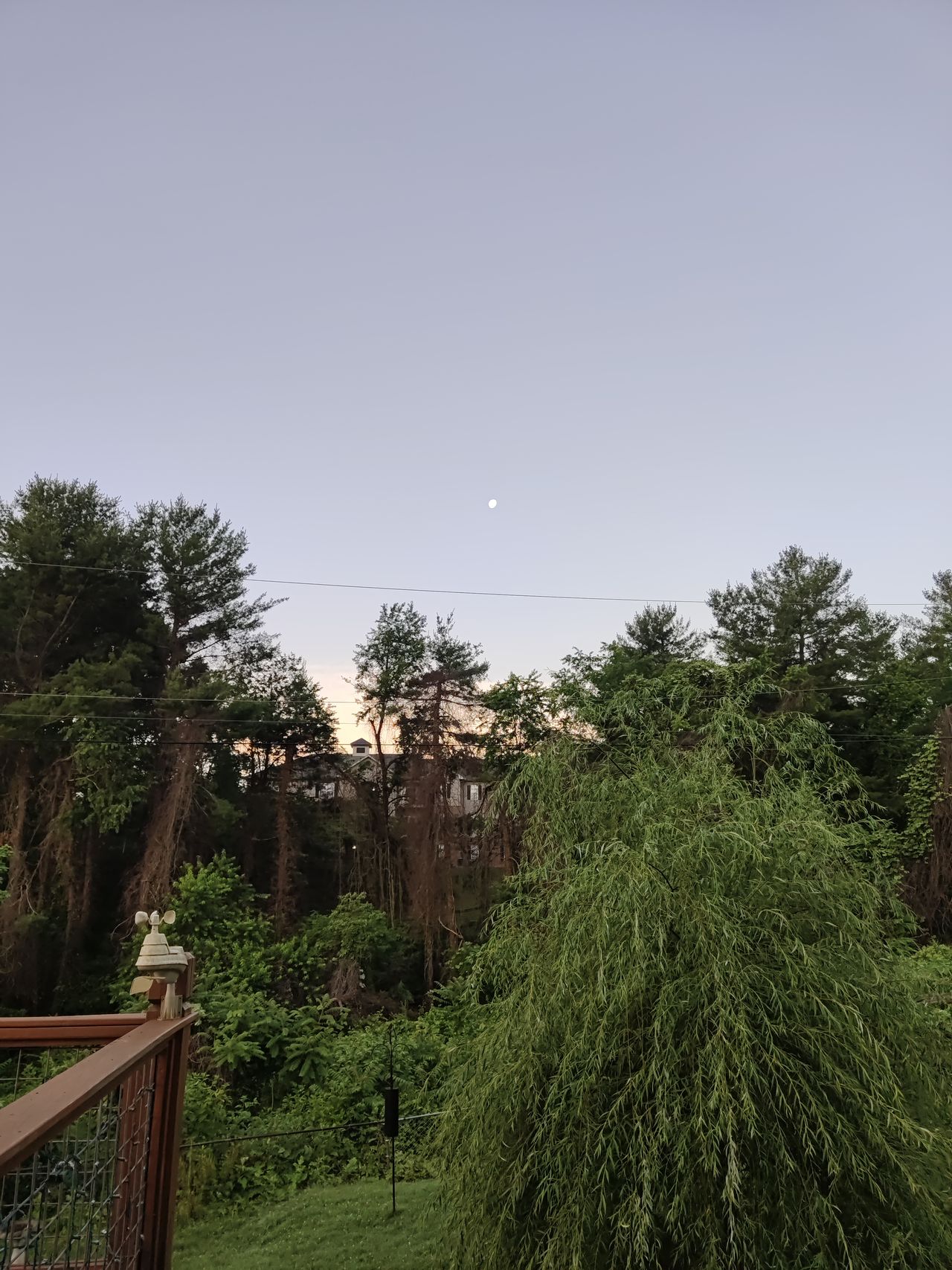 Camera samples from the Vivo X Fold