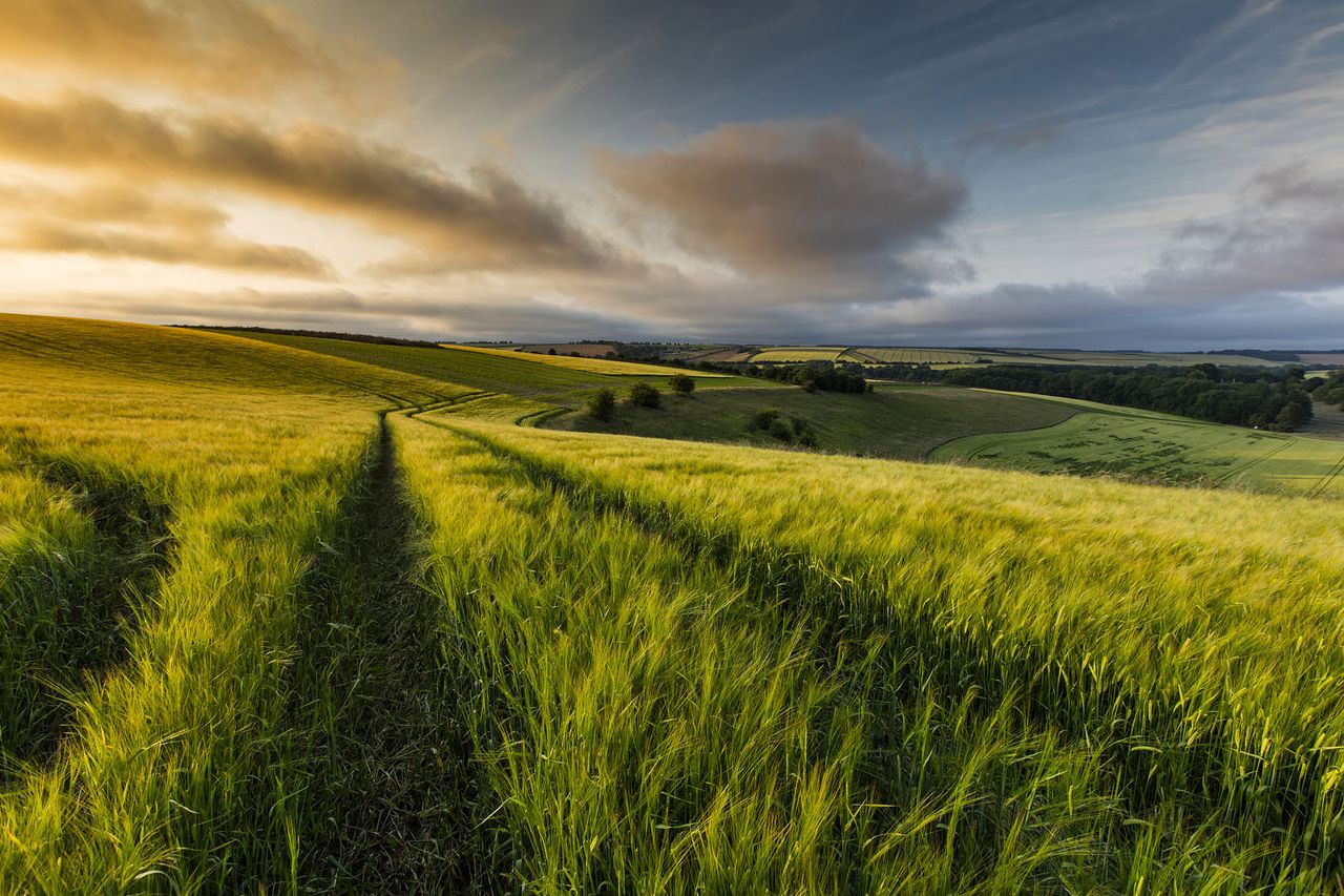 Bluestone Heath Road, Lincolnshire Wolds.