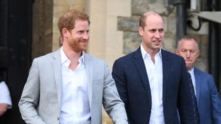 Prince Harry and Prince William attend a walkabout ahead of Prince Harry and Meghan Markle's royal wedding in 2018