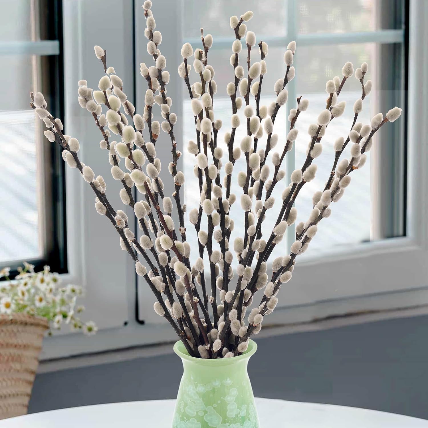 Oning 20 Stems Real Dried Pussywillow Preserved Greenery Branches for Vase- Natural Pussywillows With White Flowers, Snow Willow Branches for Easter Wedding Home Party Hotel Fireplace Yard Decor