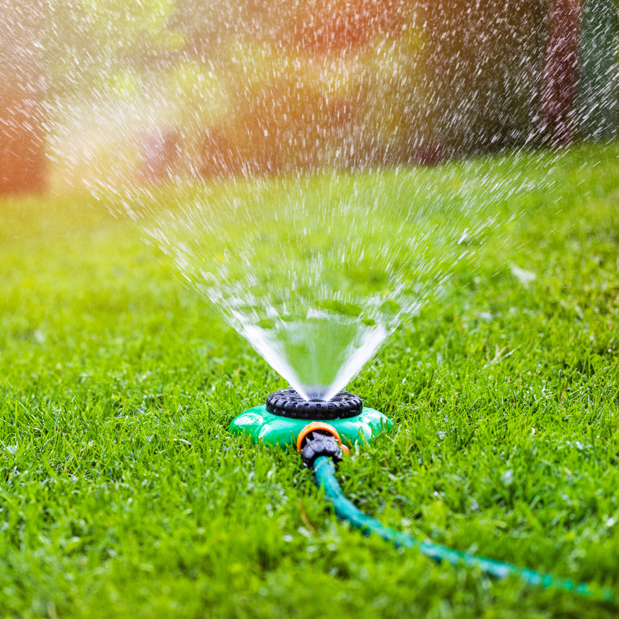 Sprinkler watering lawn
