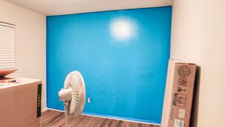 The accent wall painted light blue