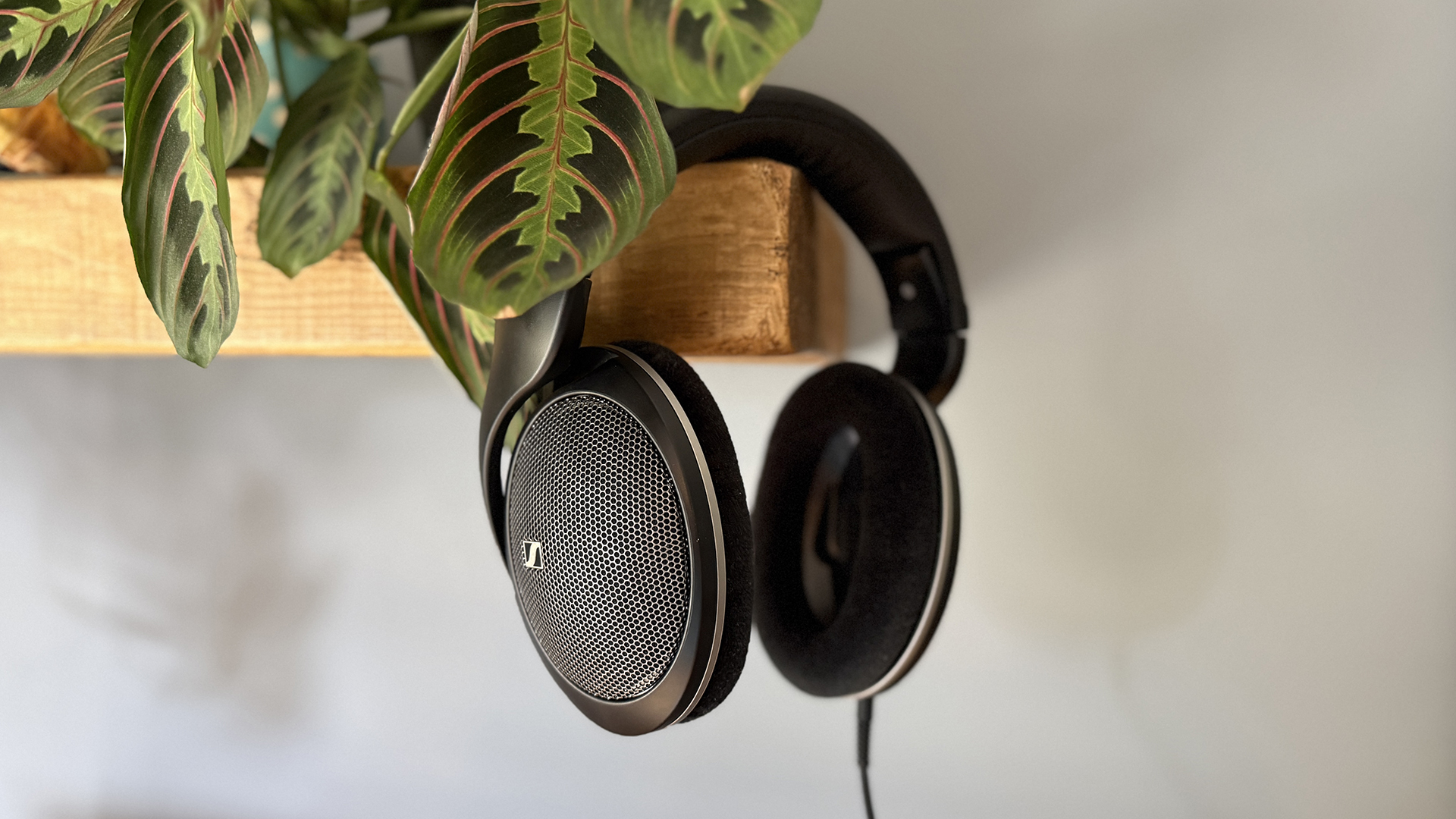 Various shots of the Sennheiser HD 550 headphones.