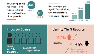 The FTC Data Book showing statistics on scams and theft