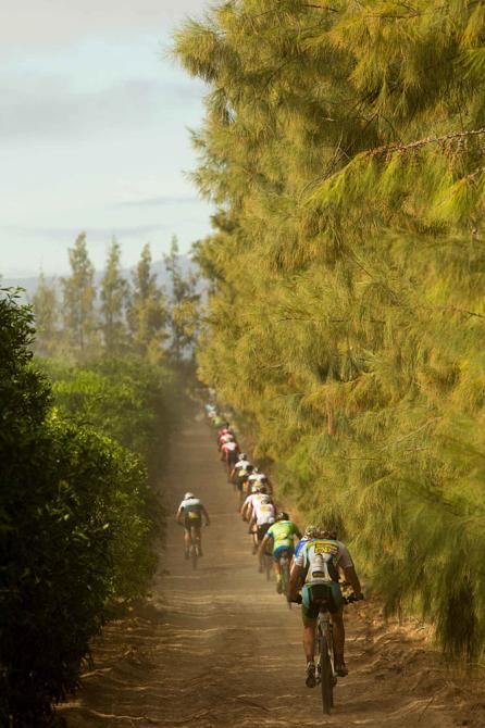 Riders passed through fields of citrus trees during stage 1