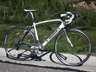 The Specialized Roubaix platform will carry over into 2010 essentially unchanged.