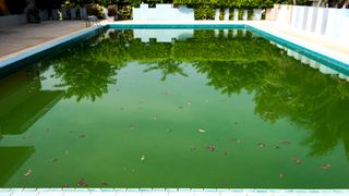 Here's what a Chia pool might look like, if it weren't all digital bits on your drives