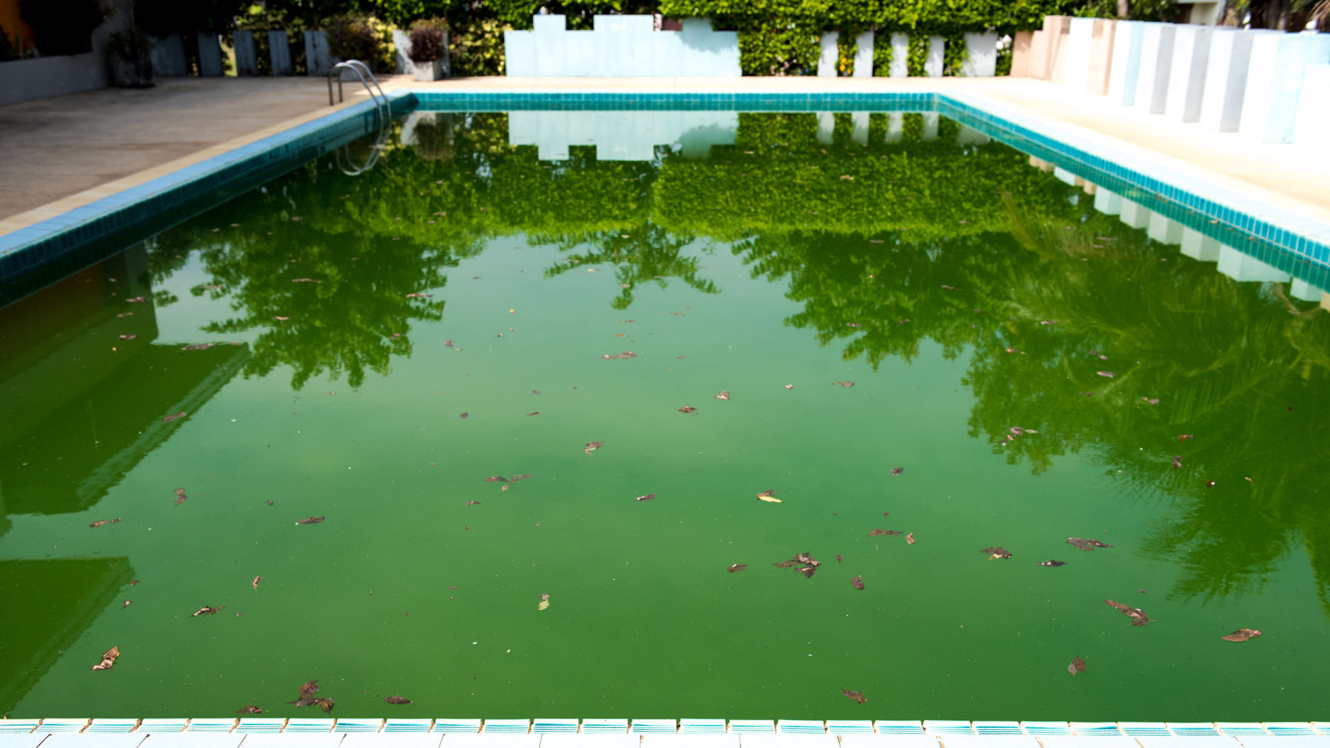 Here's what a Chia pool might look like, if it weren't all digital bits on your drives