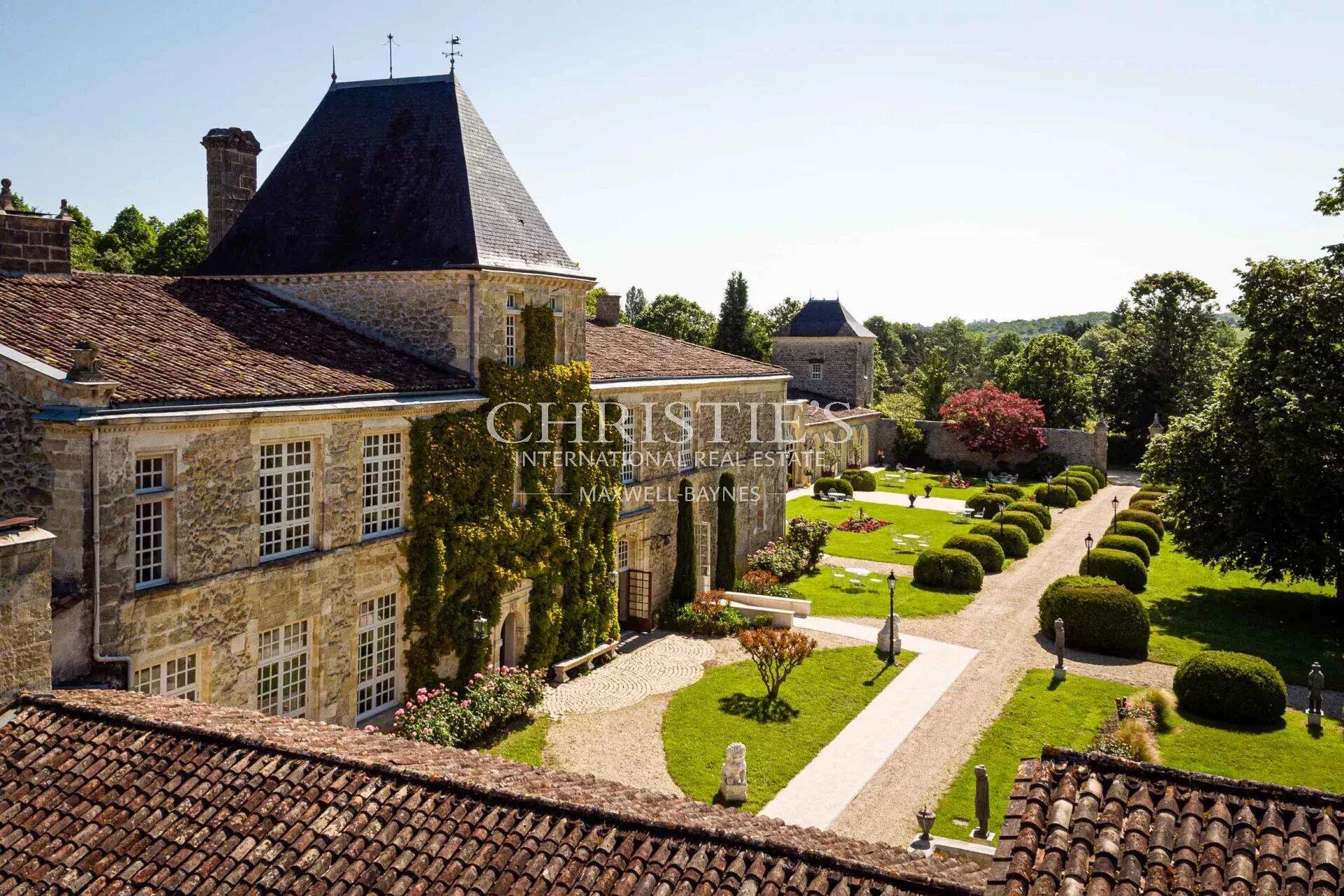 Vineyard and chateau