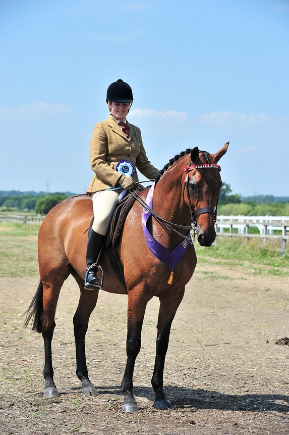 Deep Reflection 2013 Bury -racehorse 2nd