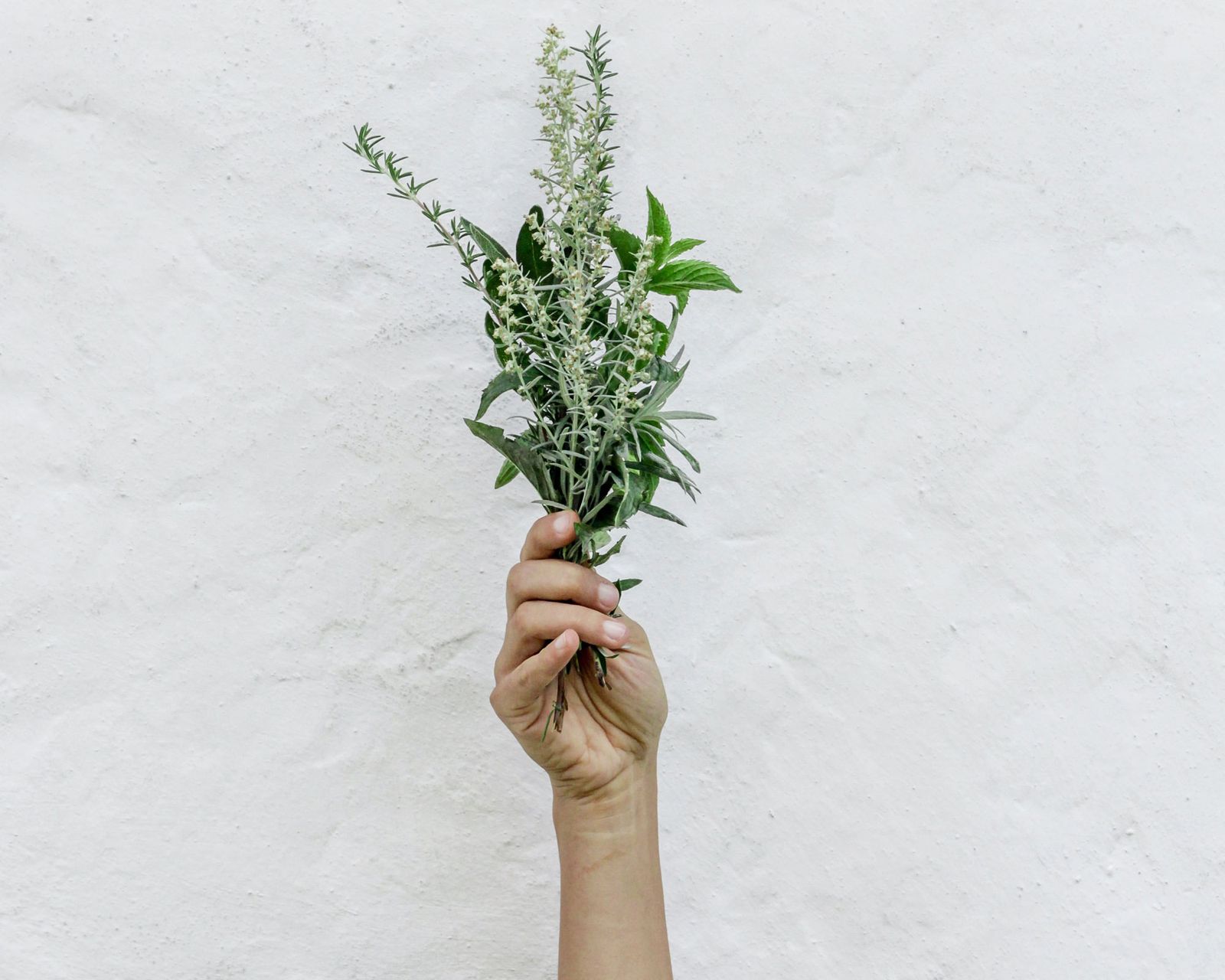 How to get rid of pantry moths naturally and keep them away for good