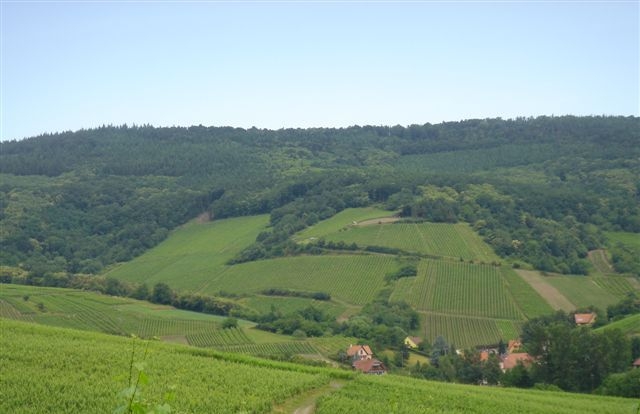 Schieferkopf, Alsace