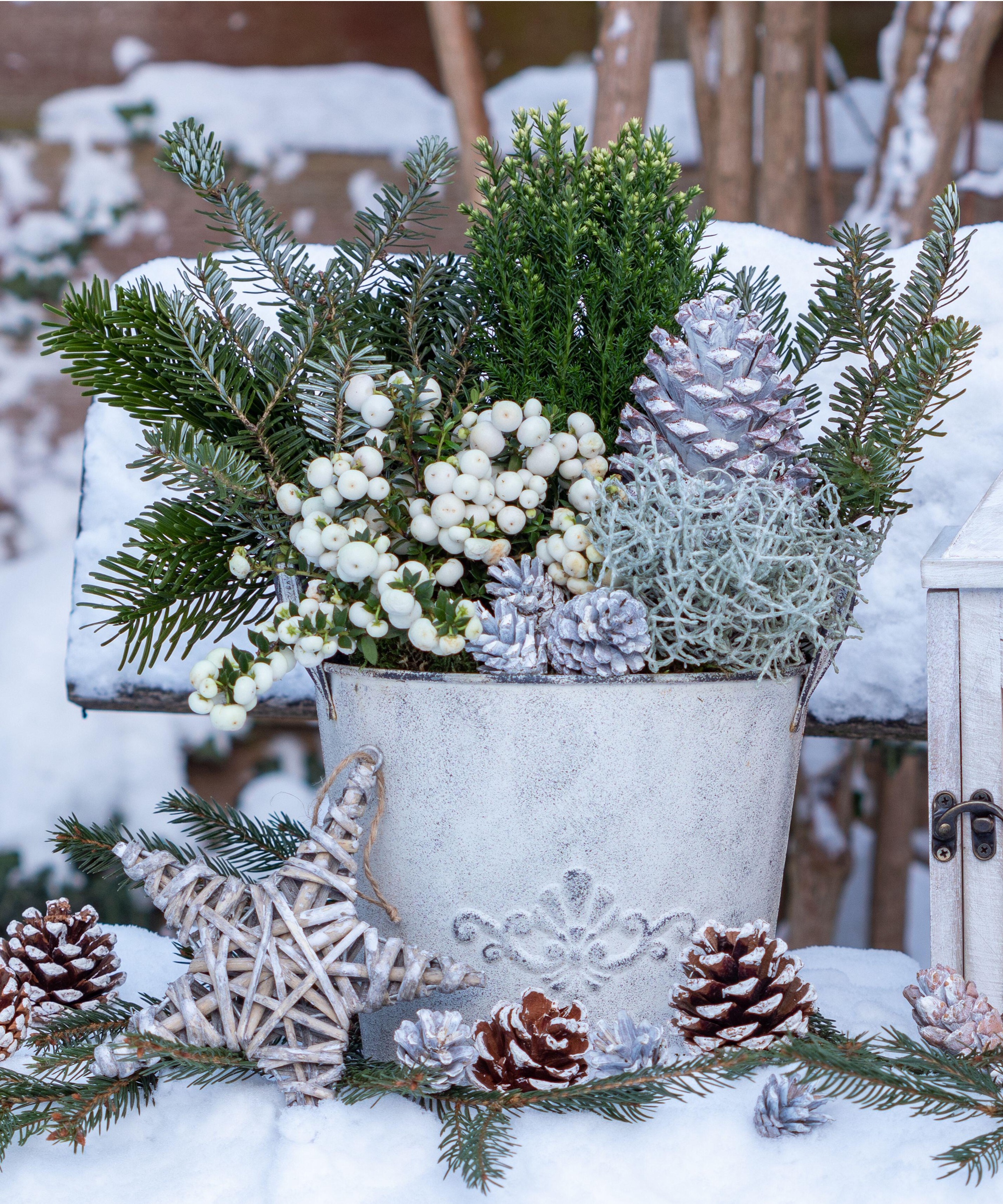 Winter containers
